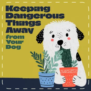 Dangerous Household Items Dogs Should Never Swallow