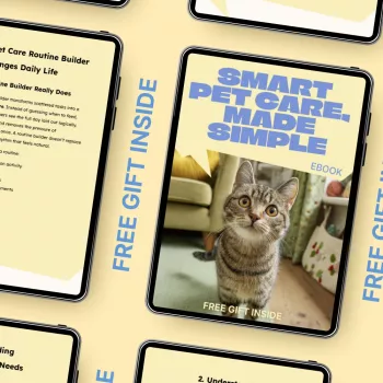 Busy Pet Owner Routine: Daily & Weekly AI Care Plan
