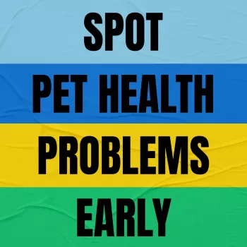 AI Pet Health Alerts: Spot Early Problems in Dogs & Cats