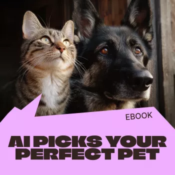 Find Your Ideal Pet With AI: Match by Lifestyle & Budget