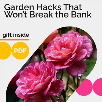 Retro Gardening Hacks: Low-Tech Tricks That Still Work