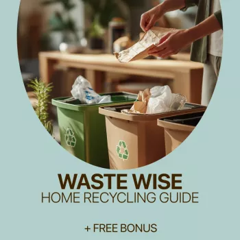 Waste Wise: 4-Stream Home Recycling That Sticks