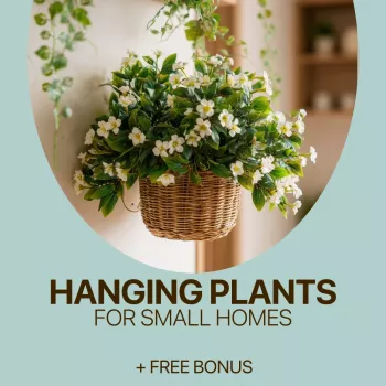 Hanging Plants for Small Homes: Easy Care & Placement